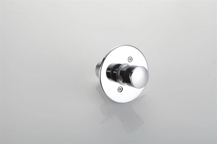 Time Delay Shower Valve